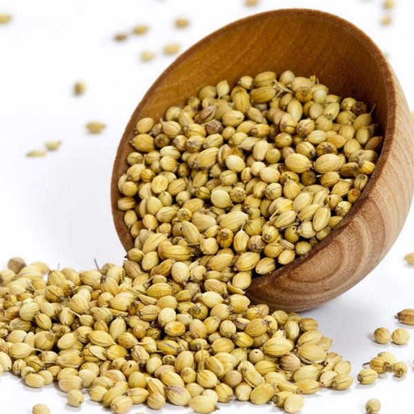 Coriander / Dhania Seeds