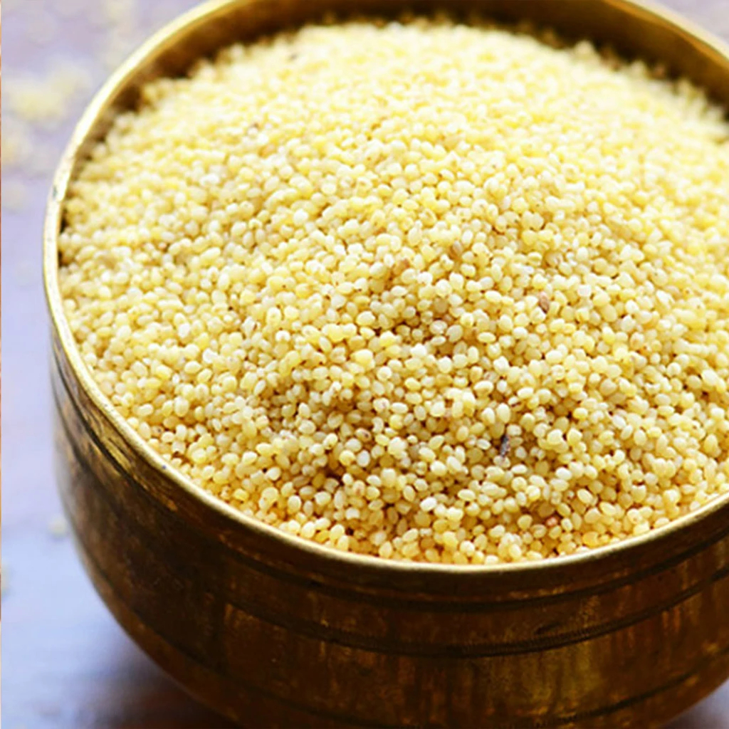 Foxtail Millet / Koral